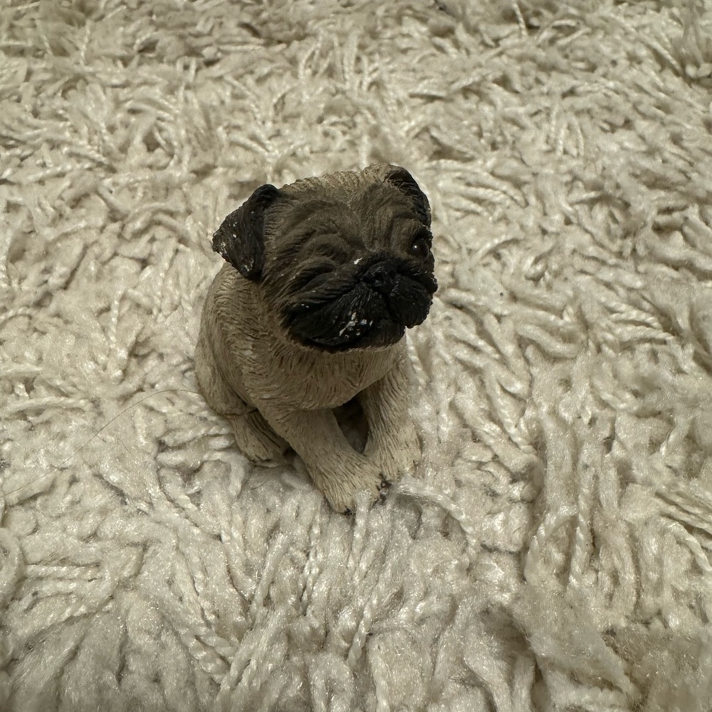 Sandicast sitting Pug, Fawn